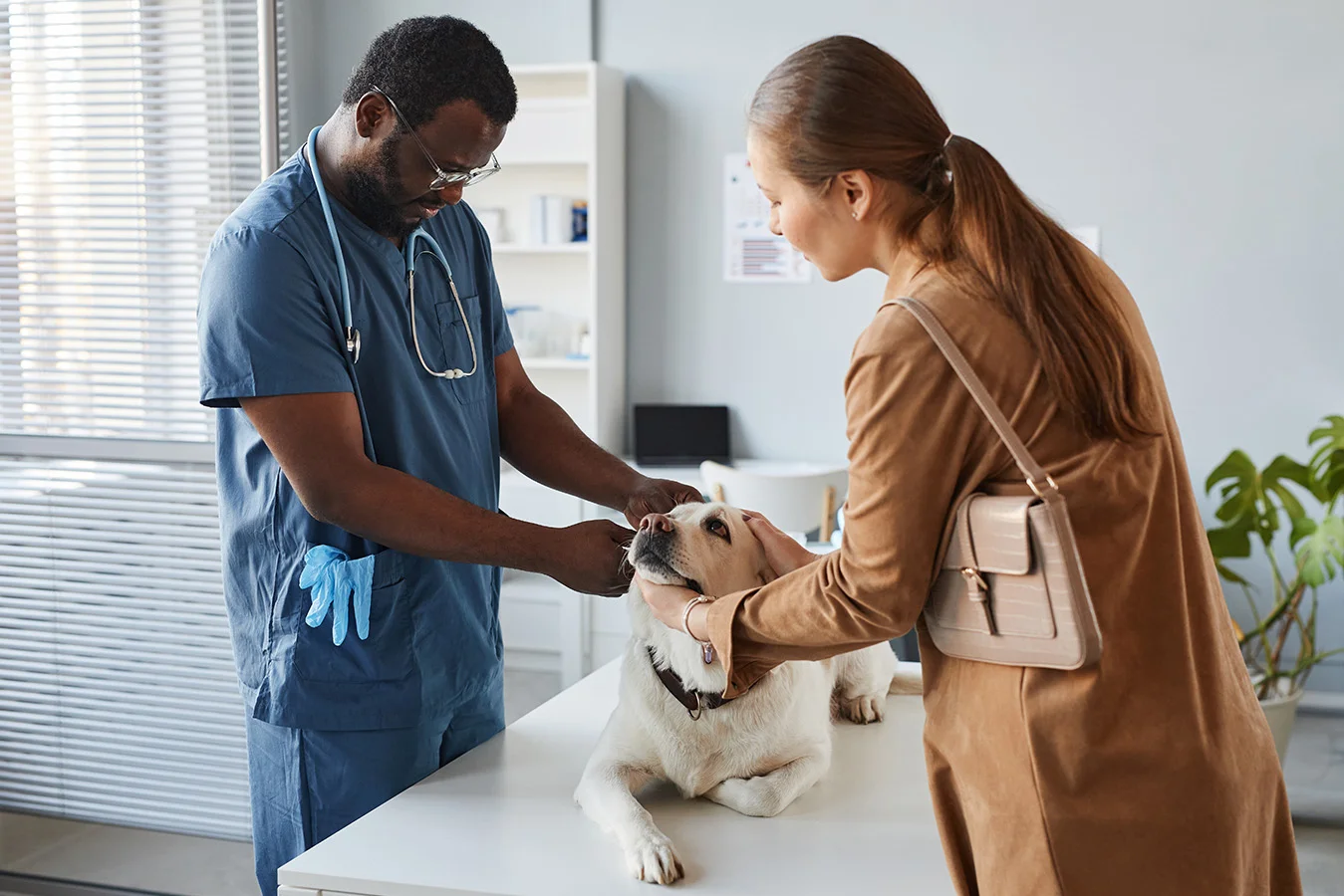 A veterinarian and owner stand beside a yellow lab