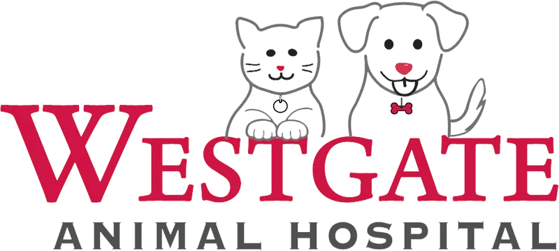 Westgate Animal Hospital